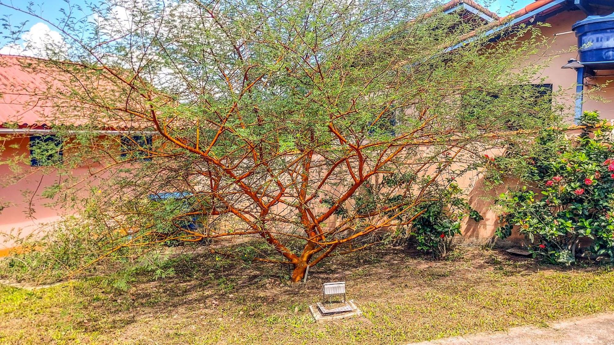 Studios Verdes Hospedagens São Pedro da Aldeia エクステリア 写真